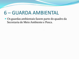 6 – GUARDA AMBIENTAL
 Os guardas ambientais fazem parte do quadro da
 Secretaria de Meio Ambiente e Pesca.
 