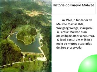 Autor: 27/10/2014 
Historia do Parque Malwee 
Em 1978, o fundador da 
Malwee Malhas Ltda, 
Wolfgang Weege, inaugurou 
o Parque Malwee num 
atestado de amor a natureza. 
O local possui um milhão e 
meio de metros quadrados 
de área preservada. 
 