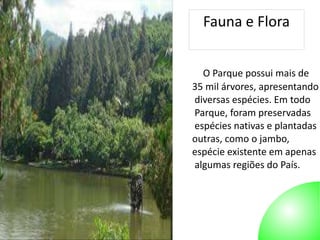 Autor: 27/10/2014 
Fauna e Flora 
O Parque possui mais de 
35 mil árvores, apresentando 
diversas espécies. Em todo 
Parque, foram preservadas 
espécies nativas e plantadas 
outras, como o jambo, 
espécie existente em apenas 
algumas regiões do País. 
 
