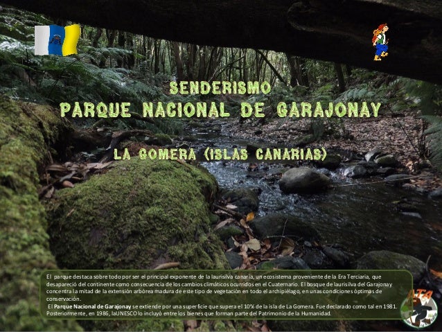 El  parque destaca sobre todo por ser el principal exponente de la laurisilva canaria, un ecosistema proveniente de la Era...