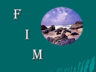   F I   M 