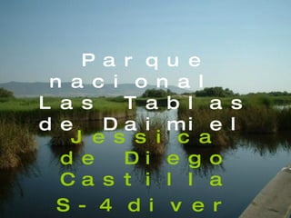 Parque nacional  Las Tablas de Daimiel Jessica de Diego Castilla S-4 diver 