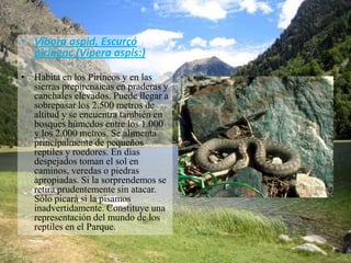 • Víbora aspid, Escurçó
  pirinenc (Vipera aspis:)

• Habita en los Pirineos y en las
  sierras prepirenaicas en praderas y
  canchales elevados. Puede llegar a
  sobrepasar los 2.500 metros de
  altitud y se encuentra también en
  bosques húmedos entre los 1.000
  y los 2.000 metros. Se alimenta
  principalmente de pequeños
  reptiles y roedores. En días
  despejados toman el sol en
  caminos, veredas o piedras
  apropiadas. Si la sorprendemos se
  retira prudentemente sin atacar.
  Sólo picará si la pisamos
  inadvertidamente. Constituye una
  representación del mundo de los
  reptiles en el Parque.
 