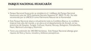 PARQUE NACIONAL HUASCARÁN
 Parque Nacional Huascarán se estableció el 1 deMapa del Parque Nacional
Huascarán julio de 1975 mediante Decreto Supremo Nº 0622-75-AG. Ha sido
reconocido por la UNESCO como Patrimonio Natural de la Humanidad
 Este Parque Nacional abarca virtualmente toda la Cordillera Blanca, la cordillera
tropical más alta del mundo, y se ubica en el departamento de Ancash, en las
provincias de Huaylas, Yungay, Carhuaz, Huaraz, Recuay, Bolognesi, Pomabamba,
Huari, Mariscal Luzuriaga y Asunción.
 Tiene una extensión de 340 000 hectáreas. Este Parque Nacional alberga gran
riqueza de flora y fauna, nevados y bellezas paisajísticas.
 
