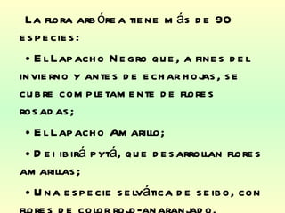 La flora arbórea tiene más de 90 especies:  El Lapacho Negro que, a fines del invierno y antes de echar hojas, se cubre completamente de flores rosadas;  El Lapacho Amarillo; Dei ibirá pytá, que desarrollan flores amarillas;  Una especie selvática de seibo, con flores de color rojo-anaranjado.  