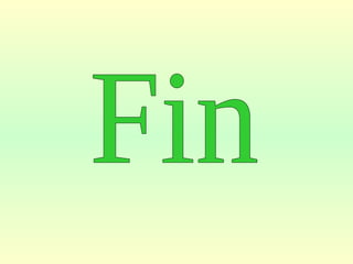 Fin 