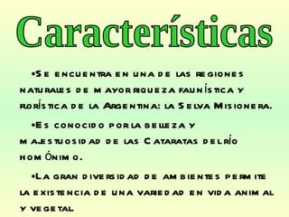 Se encuentra en una de las regiones naturales de mayor riqueza faunística y florística de la Argentina: la Selva Misionera.  Es conocido por la belleza y majestuosidad de las Cataratas del río homónimo.  La gran diversidad de ambientes permite la existencia de una variedad en vida animal y vegetal. Características 