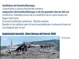 Huilliches del Butahuillamapu
-Conchales y cuevas del borde costero
mapuches del butahuillamapu o de las grandes tierras del sur
Huilliches: Poblaba zonas de la cordillera de la costa hasta los
lagos interiores
Cuncos( huilliches costeros) : Borde costero
Desde el rio valdivia por el norte pasando por rio Bueno hasta el
rio maypué por el sur
Explotación forestal : Altos Hornos del Corral 1960
El Guindo
 