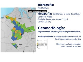Hidrografía:
Río Chaihuín
Geografía: Cordillera de la costa de valdivia:
Cordillera Pelada
Ciudad más cercana : Corral (12km)
Valdivia (25km)
Geomorfología:
Region central lacustre y del llano glaciovolcánico
Cordillera Pelada: a ambos lados de Rio Bueno, en
las altas pampas con arbustos
1064 mts en el cerro mirador
cerro azul con 1029 mts
 