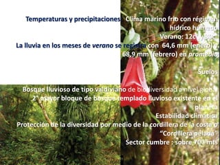 Temperaturas y precipitaciones: Clima marino frio con régimen
hídrico húmedo
Verano: 12c° y 30c°
La lluvia en los meses de verano se registra con 64,6 mm (enero) y
68,9 mm (febrero) en promedio
Suelos
Bosque lluvioso de tipo valdiviano de biodiversidad a nivel global
2° mayor bloque de bosque templado lluvioso existente en el
planeta
Estabilidad climática
Protección de la diversidad por medio de la cordillera de la costa o
“Cordillera pelada”
Sector cumbre : sobre 700 mts
 