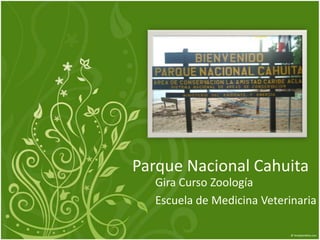 Parque NacionalCahuita Gira CursoZoología Escuelade MedicinaVeterinaria 