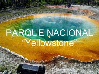PARQUE NACIONAL “Yellowstone” 