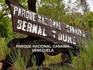 PARQUE NACIONAL CANAIMA VENEZUELA 