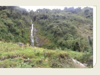 Tabla 1: ¿Qué entiende por área nacional protegida?
ÁREA NATURAL PROTEGIDA
Espacios para la conservación de flora y fauna 38 76%
Espacios para el turismo y recreación 4 8%
Zonas a las que las personas no pueden ingresar 3 6%
Zonas en la que no pueden habitar los humanos 5 10%
Total 50 100%
Ilustración 1: ¿Qué entiende por área natural protegida?
76%
8%
6%
10%
ÁREA NATURAL PROTEGIDA
Espacios para la conservación
de flora y fauna
Espacios para el turismo y
recreación
Zonas a las que las personas no
pueden ingresar
Zonas en la que no pueden
habitar los humanos
Se preguntó a la población
encuestada que entiende por
área natural protegida, y se
obtuvo que el 76% entiende
que son espacios para la
conservación de flora y
fauna, seguida del 10%
entiende que son zonas en la
que no pueden habitar los
humanos, 8% entiende que
son espacios para el turismo
y recreación, y se encontró
que una menor parte de los
encuestados (6%) entienden
que son zonas a las que las
personas no pueden
ingresar.
 