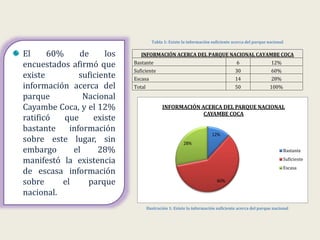 12%
60%
28%
INFORMACIÓN ACERCA DEL PARQUE NACIONAL
CAYAMBE COCA
Bastante
Suficiente
Escasa
Tabla 1: Existe la información suficiente acerca del parque nacional
INFORMACIÓN ACERCA DEL PARQUE NACIONAL CAYAMBE COCA
Bastante 6 12%
Suficiente 30 60%
Escasa 14 28%
Total 50 100%
Ilustración 1: Existe la información suficiente acerca del parque nacional
El 60% de los
encuestados afirmó que
existe suficiente
información acerca del
parque Nacional
Cayambe Coca, y el 12%
ratificó que existe
bastante información
sobre este lugar, sin
embargo el 28%
manifestó la existencia
de escasa información
sobre el parque
nacional.
 