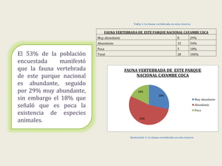 Tabla 1: La fauna vertebrada en esta reserva
FAUNA VERTEBRADA DE ESTE PARQUE NACIONAL CAYAMBE COCA
Muy abundante 8 29%
Abundante 15 54%
Poca 5 18%
Total 28 100%
Ilustración 1: La fauna vertebrada en esta reserva
29%
53%
18%
FAUNA VERTEBRADA DE ESTE PARQUE
NACIONAL CAYAMBE COCA
Muy abundante
Abundante
Poca
El 53% de la población
encuestada manifestó
que la fauna vertebrada
de este parque nacional
es abundante, seguido
por 29% muy abundante,
sin embargo el 18% que
señaló que es poca la
existencia de especies
animales.
 