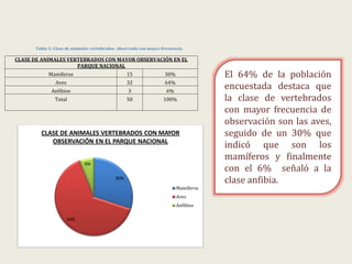 Tabla 1: Clase de animales vertebrados observado con mayor frecuencia
CLASE DE ANIMALES VERTEBRADOS CON MAYOR OBSERVACIÓN EN EL
PARQUE NACIONAL
Mamíferos 15 30%
Aves 32 64%
Anfibios 3 6%
Total 50 100%
30%
64%
6%
CLASE DE ANIMALES VERTEBRADOS CON MAYOR
OBSERVACIÓN EN EL PARQUE NACIONAL
Mamíferos
Aves
Anfibios
El 64% de la población
encuestada destaca que
la clase de vertebrados
con mayor frecuencia de
observación son las aves,
seguido de un 30% que
indicó que son los
mamíferos y finalmente
con el 6% señaló a la
clase anfibia.
 