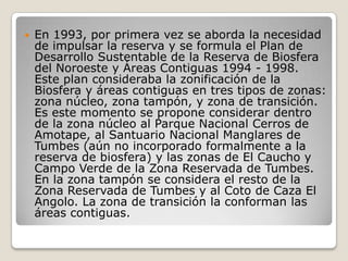 En 1993, por primera vez se aborda la necesidad de impulsar la reserva y se formula el Plan de Desarrollo Sustentable de la Reserva de Biosfera del Noroeste y Áreas Contiguas 1994 - 1998. Este plan consideraba la zonificación de la Biosfera y áreas contiguas en tres tipos de zonas: zona núcleo, zona tampón, y zona de transición. Es este momento se propone considerar dentro de la zona núcleo al Parque Nacional Cerros de Amotape, al Santuario Nacional Manglares de Tumbes (aún no incorporado formalmente a la reserva de biosfera) y las zonas de El Caucho y Campo Verde de la Zona Reservada de Tumbes. En la zona tampón se considera el resto de la Zona Reservada de Tumbes y al Coto de Caza El Angolo. La zona de transición la conforman las áreas contiguas. 