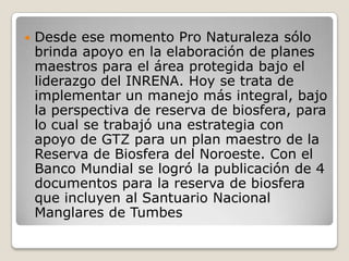 Desde ese momento Pro Naturaleza sólo brinda apoyo en la elaboración de planes maestros para el área protegida bajo el liderazgo del INRENA. Hoy se trata de implementar un manejo más integral, bajo la perspectiva de reserva de biosfera, para lo cual se trabajó una estrategia con apoyo de GTZ para un plan maestro de la Reserva de Biosfera del Noroeste. Con el Banco Mundial se logró la publicación de 4 documentos para la reserva de biosfera que incluyen al Santuario Nacional Manglares de Tumbes