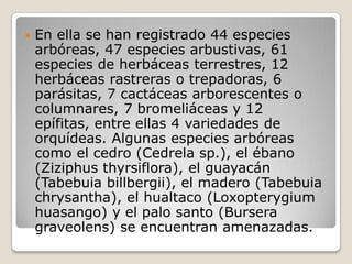En ella se han registrado 44 especies arbóreas, 47 especies arbustivas, 61 especies de herbáceas terrestres, 12 herbáceas rastreras o trepadoras, 6 parásitas, 7 cactáceas arborescentes o columnares, 7 bromeliáceas y 12 epífitas, entre ellas 4 variedades de orquídeas. Algunas especies arbóreas como el cedro (Cedrela sp.), el ébano (Ziziphus thyrsiflora), el guayacán (Tabebuia billbergii), el madero (Tabebuia chrysantha), el hualtaco (Loxopterygium huasango) y el palo santo (Bursera graveolens) se encuentran amenazadas.