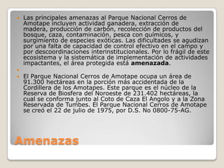 AmenazasLas principales amenazas al Parque Nacional Cerros de Amotape incluyen actividad ganadera, extracción de madera, producción de carbón, recolección de productos del bosque, caza, contaminación, pesca con químicos, y surgimiento de especies exóticas. Las dificultades se agudizan por una falta de capacidad de control efectivo en el campo y por descoordinaciones interinstitucionales. Por lo frágil de este ecosistema y la sistemática de implementación de actividades impactantes, el área protegida está amenazada.  El Parque Nacional Cerros de Amotape ocupa un área de 91.300 hectáreas en la porción más accidentada de la Cordillera de los Amotapes. Este parque es el núcleo de la Reserva de Biosfera del Noroeste de 231.402 hectáreas, la cual se conforma junto al Coto de Caza El Angolo y a la Zona Reservada de Tumbes. El Parque Nacional Cerros de Amotape se creó el 22 de julio de 1975, por D.S. No 0800-75-AG.