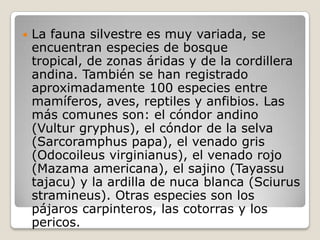 La fauna silvestre es muy variada, se encuentran especies de bosque tropical, de zonas áridas y de la cordillera andina. También se han registrado aproximadamente 100 especies entre mamíferos, aves, reptiles y anfibios. Las más comunes son: el cóndor andino (Vultur gryphus), el cóndor de la selva (Sarcoramphus papa), el venado gris (Odocoileus virginianus), el venado rojo (Mazama americana), el sajino (Tayassu tajacu) y la ardilla de nuca blanca (Sciurus stramineus). Otras especies son los pájaros carpinteros, las cotorras y los pericos. 