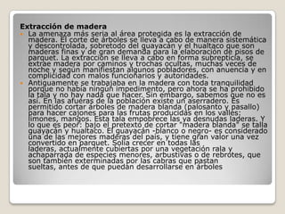 Extracción de maderaLa amenaza más seria al área protegida es la extracción de madera. El corte de árboles se lleva a cabo de manera sistemática y descontrolada, sobretodo del guayacán y el hualtaco que son maderas finas y de gran demanda para la elaboración de pisos de parquet. La extracción se lleva a cabo en forma subrepticia, se extrae madera por caminos y trochas ocultas, muchas veces de noche y según manifiestan algunos pobladores, con anuencia y en complicidad con malos funcionarios y autoridades.  Antiguamente se trabajaba en la madera con toda tranquilidad porque no había ningún impedimento, pero ahora se ha prohibido la tala y no hay nada que hacer. Sin embargo, sabemos que no es así. En las afueras de la población existe un aserradero. Es permitido cortar árboles de madera blanda (palosanto y pasallo) para hacer cajones para las frutas producidas en los valles: limones, mangos. Esta tala empobrece las ya desnudas laderas. Y lo que es peor: bajo el pretexto de cortar "madera blanda" se talla guayacán y hualtaco. El guayacán -blanco o negro- es considerado una de las mejores maderas del país, y tiene gran valor una vez convertido en parquet. Solía crecer en todas las laderas, actualmente cubiertas por una vegetación rala y achaparrada de especies menores, arbustivas o de rebrotes, que son también exterminadas por las cabras que pastan sueltas, antes de que puedan desarrollarse en árboles 