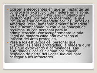 Existen antecedentes en querer implantar un control a la extracción de madera en la zona. En 1974 el Gobierno Peruano implantó una veda forestal por tiempo indefinido, la que incluía el área comprendida por los Cerros de Amotape. Pero, lamentablemente la medida no fue acompañada ni con la asignación de recursos, ni con personal para la administración; consecuentemente la tala ilegal de madera cada año avanzaba al interior del área protegida. Pese a los esfuerzos del personal que custodia las áreas protegidas, la madera dura se sigue extrayendo a camionadas. Las autoridades locales claman por mayor respaldo de parte del Poder Judicial para castigar a los infractores.