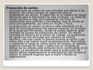 Producción de carbón La producción de carbón es una actividad que afecta a los bosques. Se cortan árboles de algarrobo para la preparación de carbón. El algarrobo es la madera de mayor demanda para la fabricación de este producto. La venta de carbón se lleva a cabo principalmente con fines de combustible para pollerías y parrilladas, éste se vende en Lima principalmente, así como en Trujillo y Piura. La producción de carbón se lleva a cabo sobretodo en la zona de amortiguamiento del parque nacional, en el sector de la quebrada Fernández, donde se puede observar gran cantidad de puntos de producción de carbón. En menor cantidad se observa en el sector de Casitas. La producción de carbón es una actividad que requiere de mucho sacrificio, hay que cuidar la quema durante la noche y por varios días y se respira humo constantemente. Para iniciar y mantener el fuego se utiliza bosta del bosque, la materia orgánica menuda de hojas y tallos que es recogida de debajo de los árboles para utilizarla como combustible en el proceso. La recolección de bosta para la producción de carbón afecta negativamente la reproducción del bosque al reducir la materia orgánica que lo nutre y facilita su regeneración.