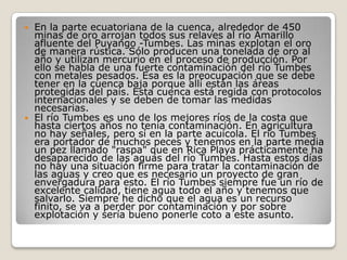 En la parte ecuatoriana de la cuenca, alrededor de 450 minas de oro arrojan todos sus relaves al río Amarillo afluente del Puyango -Tumbes. Las minas explotan el oro de manera rústica. Sólo producen una tonelada de oro al año y utilizan mercurio en el proceso de producción. Por ello se habla de una fuerte contaminación del río Tumbes con metales pesados. Esa es la preocupación que se debe tener en la cuenca baja porque allí están las áreas protegidas del país. Esta cuenca está regida con protocolos internacionales y se deben de tomar las medidas necesarias. El río Tumbes es uno de los mejores ríos de la costa que hasta ciertos años no tenía contaminación. En agricultura no hay señales, pero sí en la parte acuícola. El río Tumbes era portador de muchos peces y tenemos en la parte media un pez llamado "raspa" que en Rica Playa prácticamente ha desaparecido de las aguas del río Tumbes. Hasta estos días no hay una situación firme para tratar la contaminación de las aguas y creo que es necesario un proyecto de gran envergadura para esto. El río Tumbes siempre fue un río de excelente calidad, tiene agua todo el año y tenemos que salvarlo. Siempre he dicho que el agua es un recurso finito, se va a perder por contaminación y por sobre explotación y sería bueno ponerle coto a este asunto.