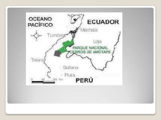 Parque nacional cerros de amotape