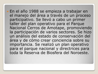 En el año 1988 se empieza a trabajar en el manejo del área a través de un proceso participativo. Se llevó a cabo un primer taller del plan operativo para el Parque Nacional Cerros de Amotape, promoviendo la participación de varios sectores. Se hizo un análisis del estado de conservación del área y de cómo crear conciencia sobre su importancia. Se realizó un plan operativo para el parque nacional y directrices para toda la Reserva de Biosfera del Noroeste.