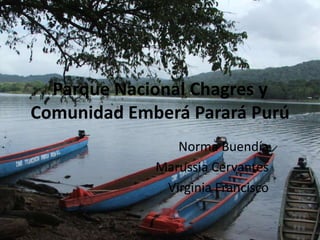 Parque Nacional Chagres y Comunidad Emberá Parará Purú Norma Buendía  Marussia Cervantes Virginia Francisco 