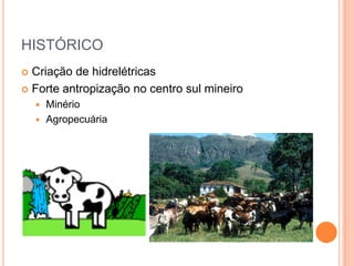 HISTÓRICO
 Criação de hidrelétricas
 Forte antropização no centro sul mineiro
     Minério
     Agropecuária
 