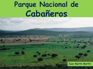 Parque Nacional de
   Cabañeros




               Juan Martín Martín
 