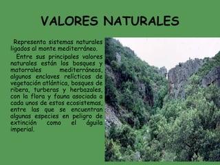 Parque Nacional de Cabañeros