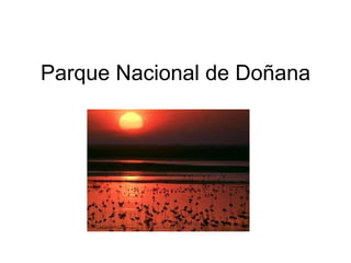 Parque Nacional de Doñana 