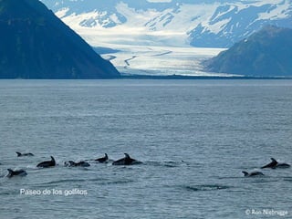 Paseo de los golfitos
 