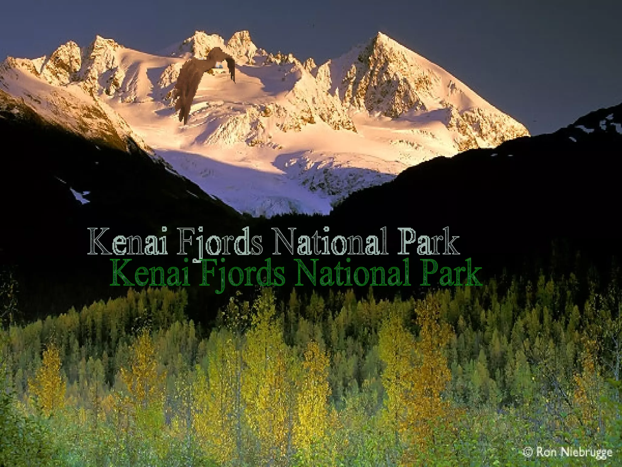 Kenai Fjords National Park