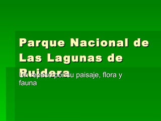 Parque Nacional de Las Lagunas de Ruidera Un repaso por su paisaje, flora y fauna 