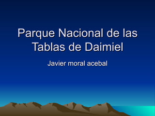 Parque Nacional de las Tablas de Daimiel Javier moral acebal 