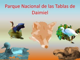 Parque Nacional de las Tablas de
Daimiel
 