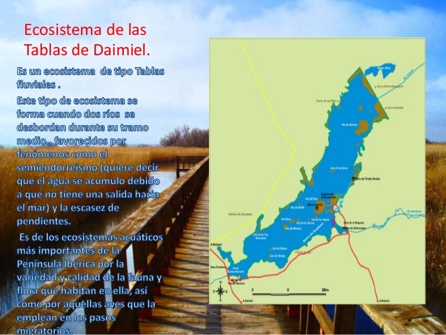 Parque nacional de las tablas de daimiel