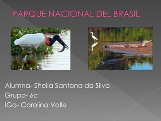 Alumna- Sheila Santana da Silva
Grupo- 6c
IGa- Carolina Valle
 