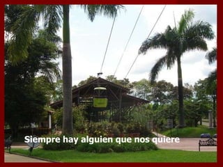 Siempre hay alguien que nos quiere  