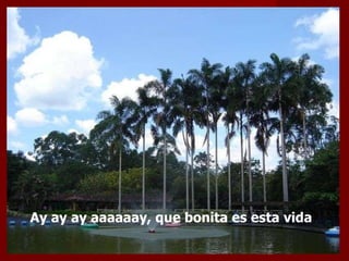 Ay ay ay aaaaaay, que bonita es esta vida  