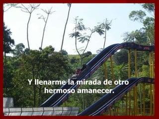 Y llenarme la mirada de otro  hermoso amanecer. 