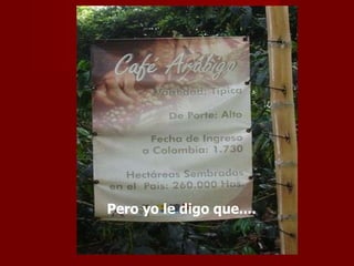 Pero yo le digo que....  