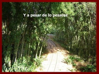 Y a pesar de lo pesares  