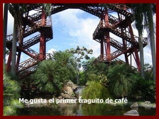 Me gusta el primer traguito de café  